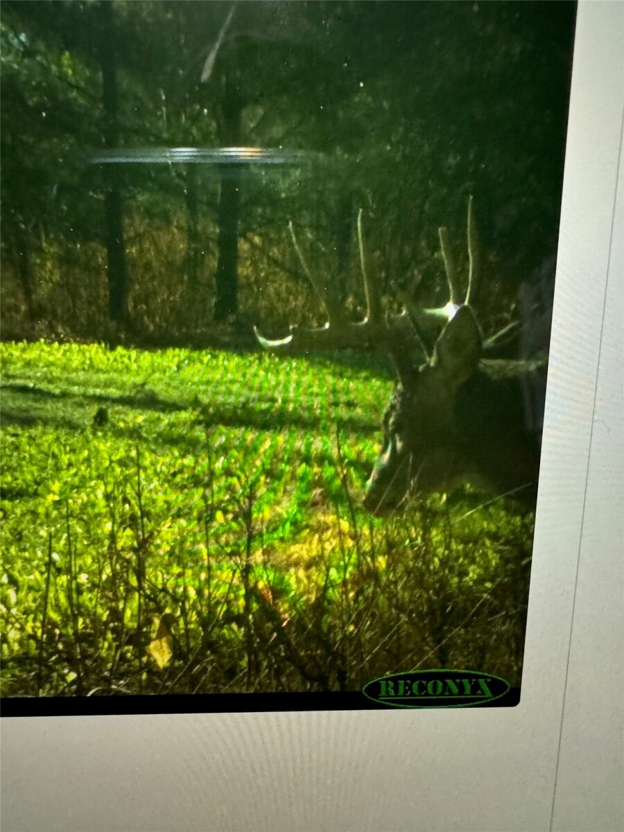 0000 110th Avenue Avenue, Glenwood City, WI — photo 55