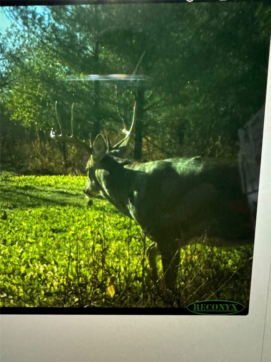 0000 110th Avenue Avenue, Glenwood City, WI — photo 56