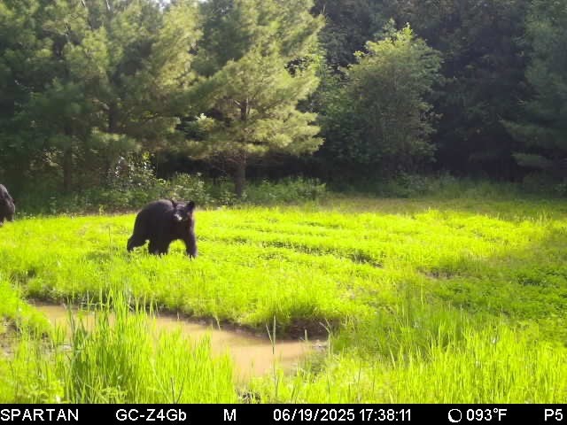 0000 110th Avenue Avenue, Glenwood City, WI — photo 59