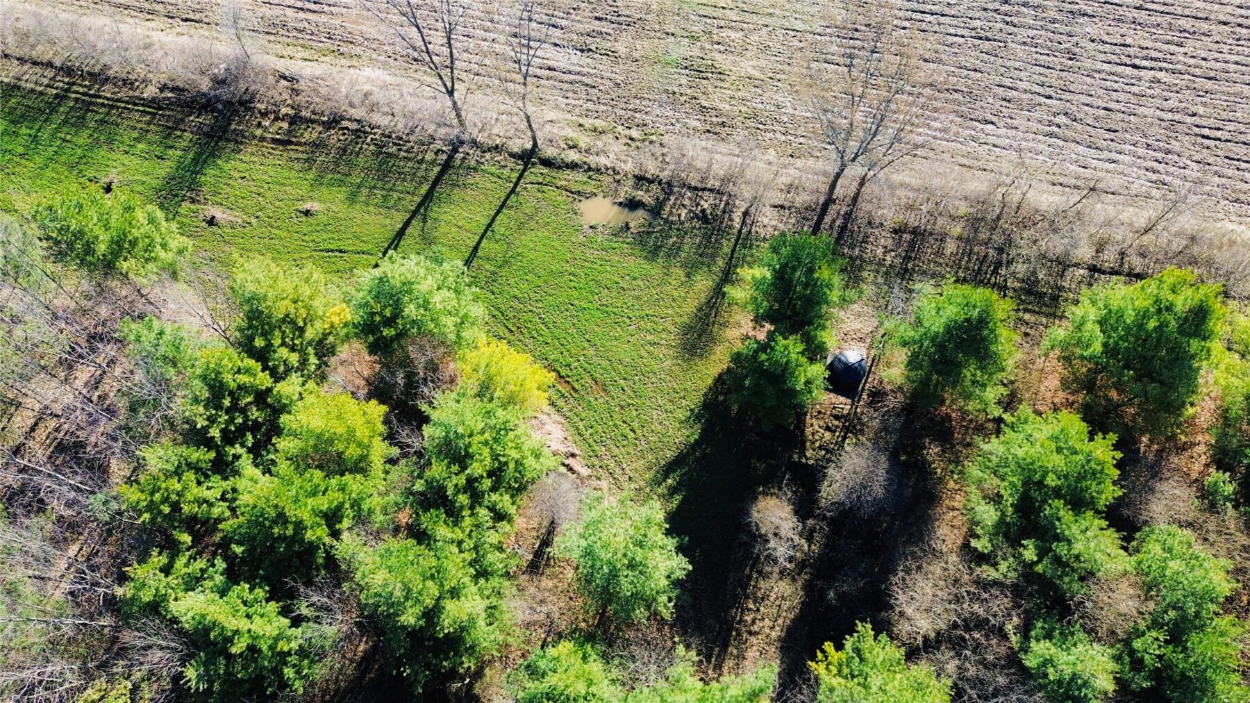 0000 110th Avenue Avenue, Glenwood City, WI — photo 6