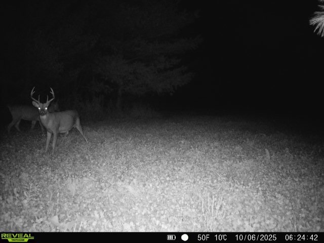 0000 110th Avenue Avenue, Glenwood City, WI — photo 60