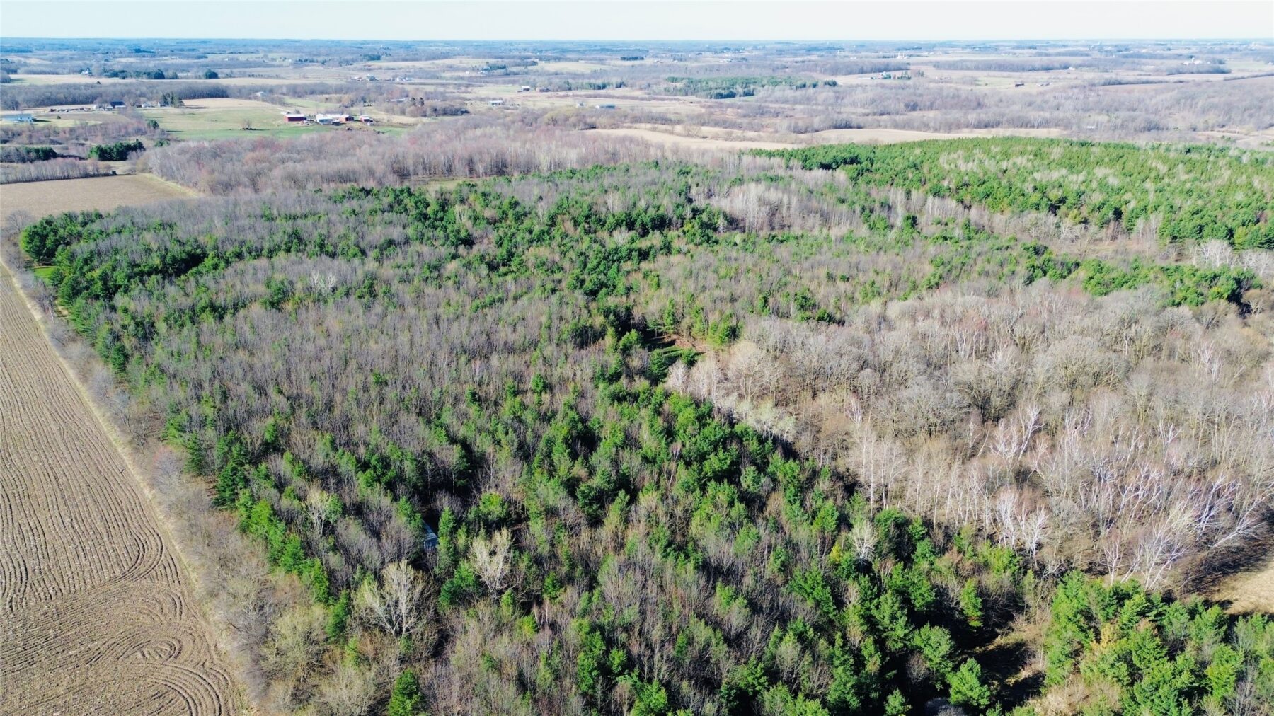 0000 110th Avenue Avenue, Glenwood City, WI — photo 8