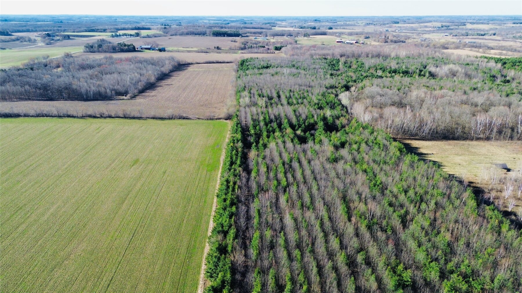 0000 110th Avenue Avenue, Glenwood City, WI — photo 9