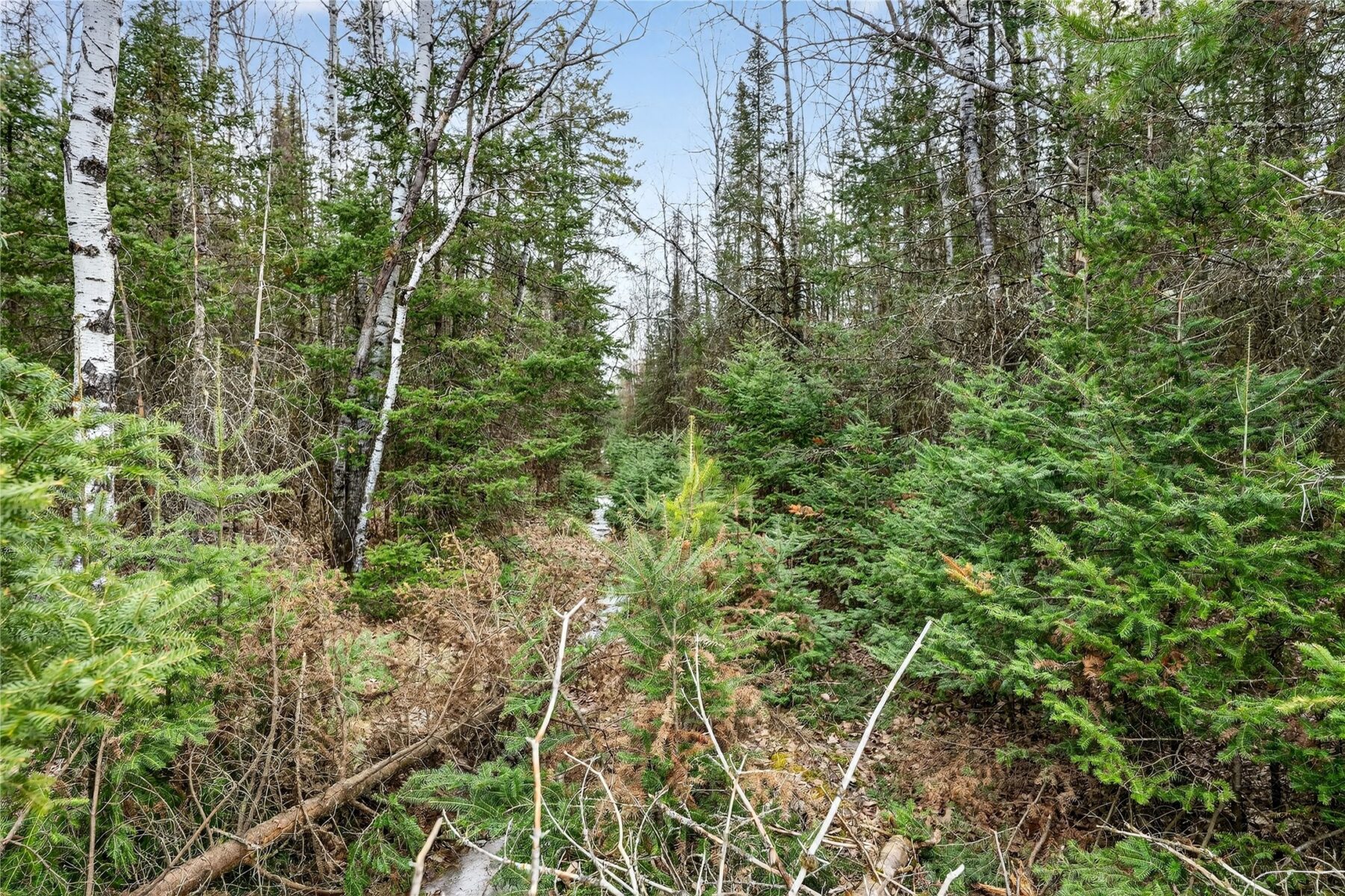 0000 Main Rd, Springbrook, WI — photo 24