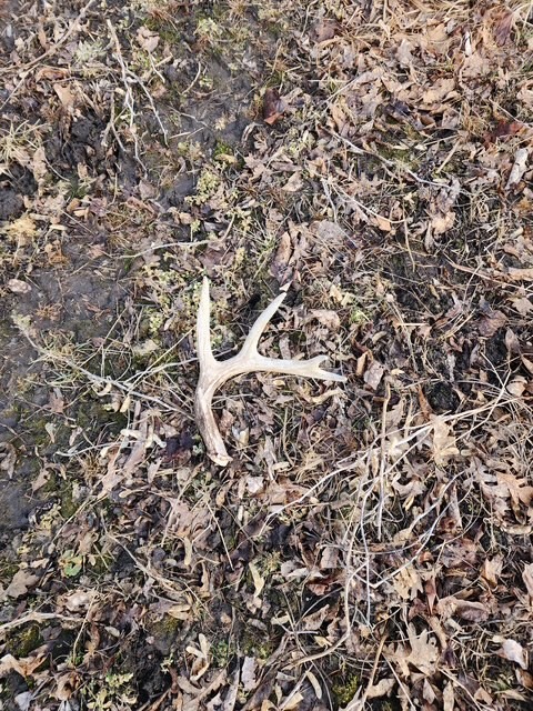 0000 Main Rd, Springbrook, WI — photo 4