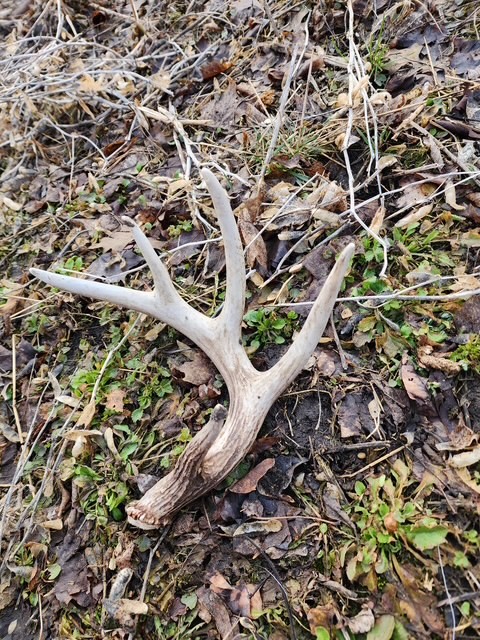 0000 Main Rd, Springbrook, WI — photo 5