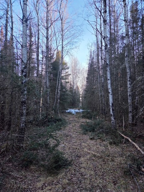 0000 Main Rd, Springbrook, WI — photo 6