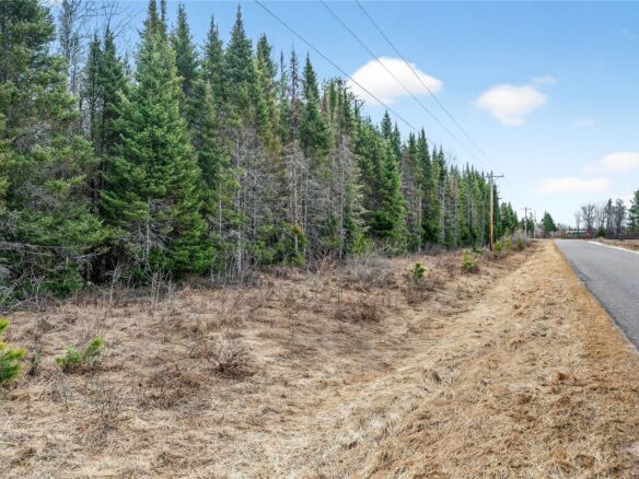 Landhouse for sale picture with an address of  0000 Main Rd  in Springbrook and a list price of 140000