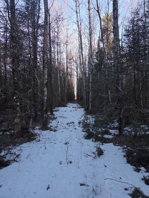 0000 Main Rd, Springbrook, WI — photo 7