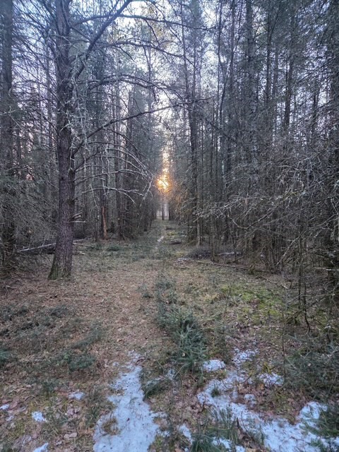 0000 Main Rd, Springbrook, WI — photo 8