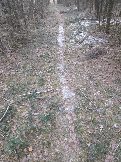 0000 Main Rd, Springbrook, WI — photo 9