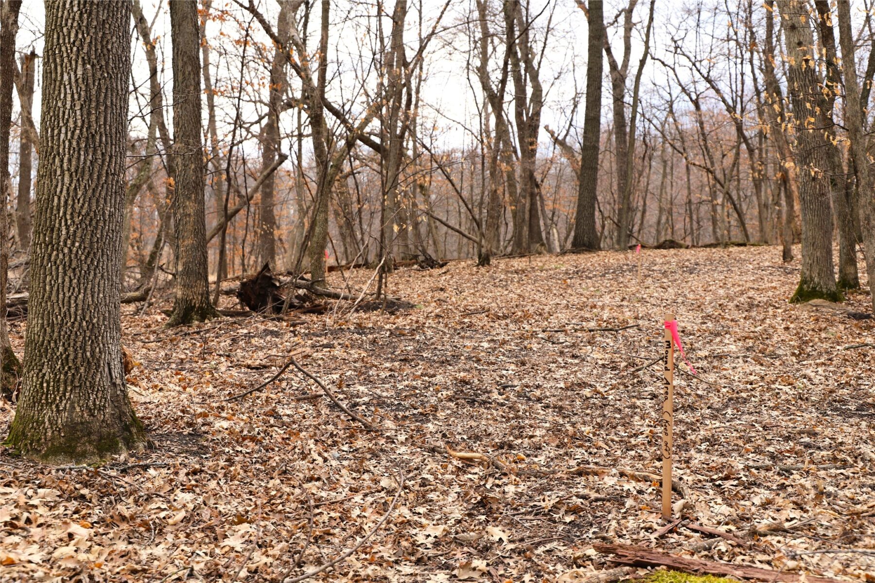 0000 Fourth Street E, Other, MN — photo 10