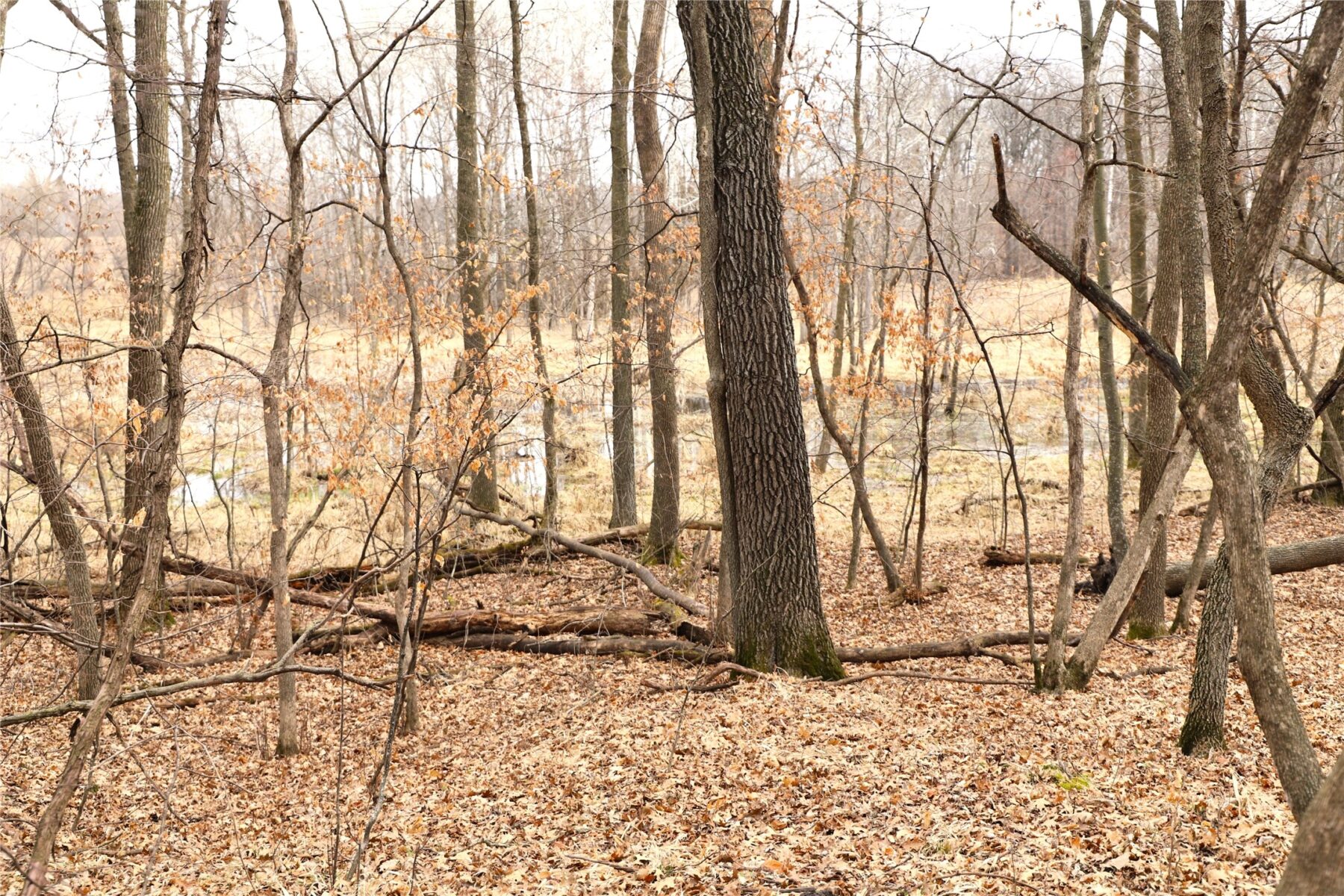 0000 Fourth Street E, Other, MN — photo 11