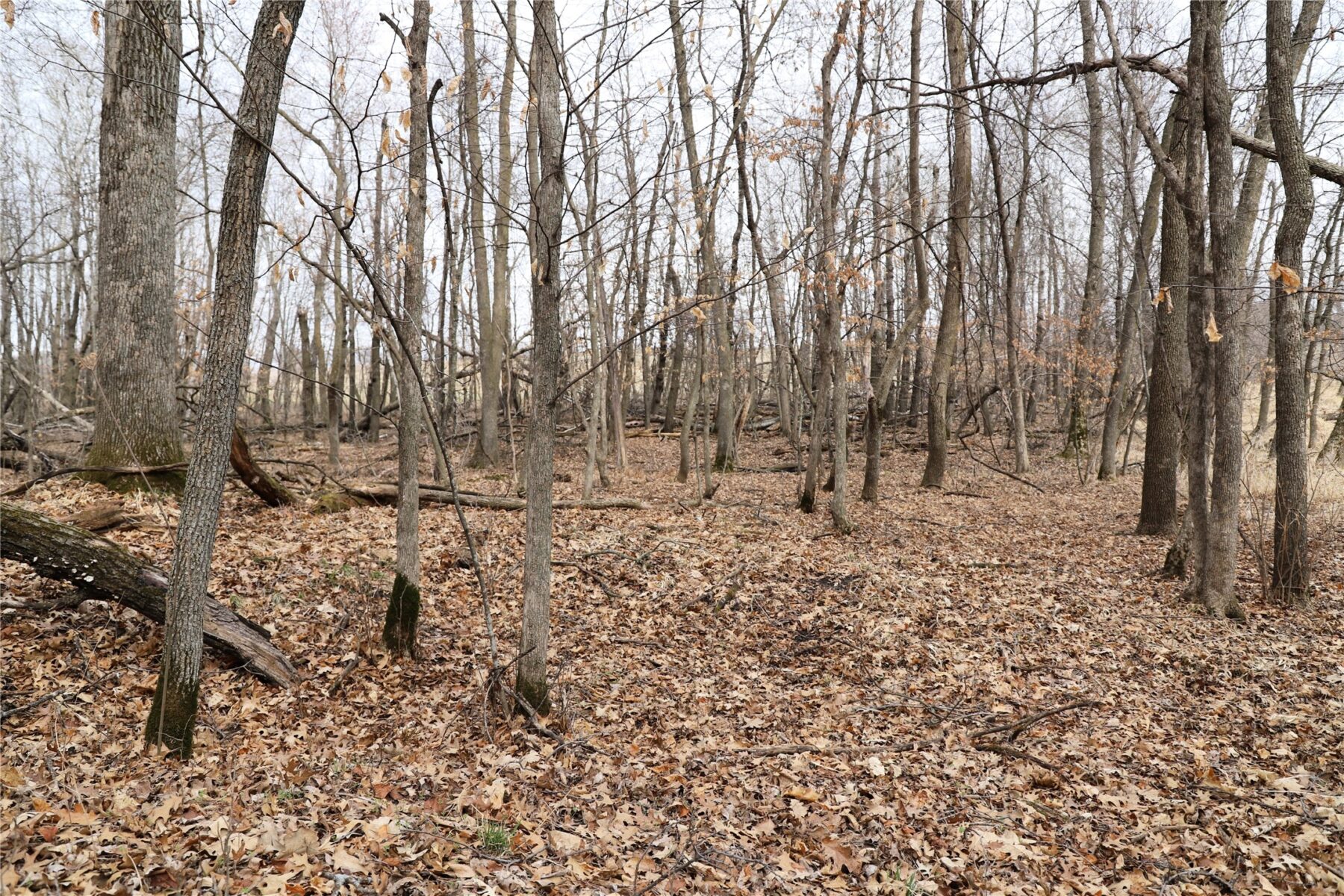 0000 Fourth Street E, Other, MN — photo 12