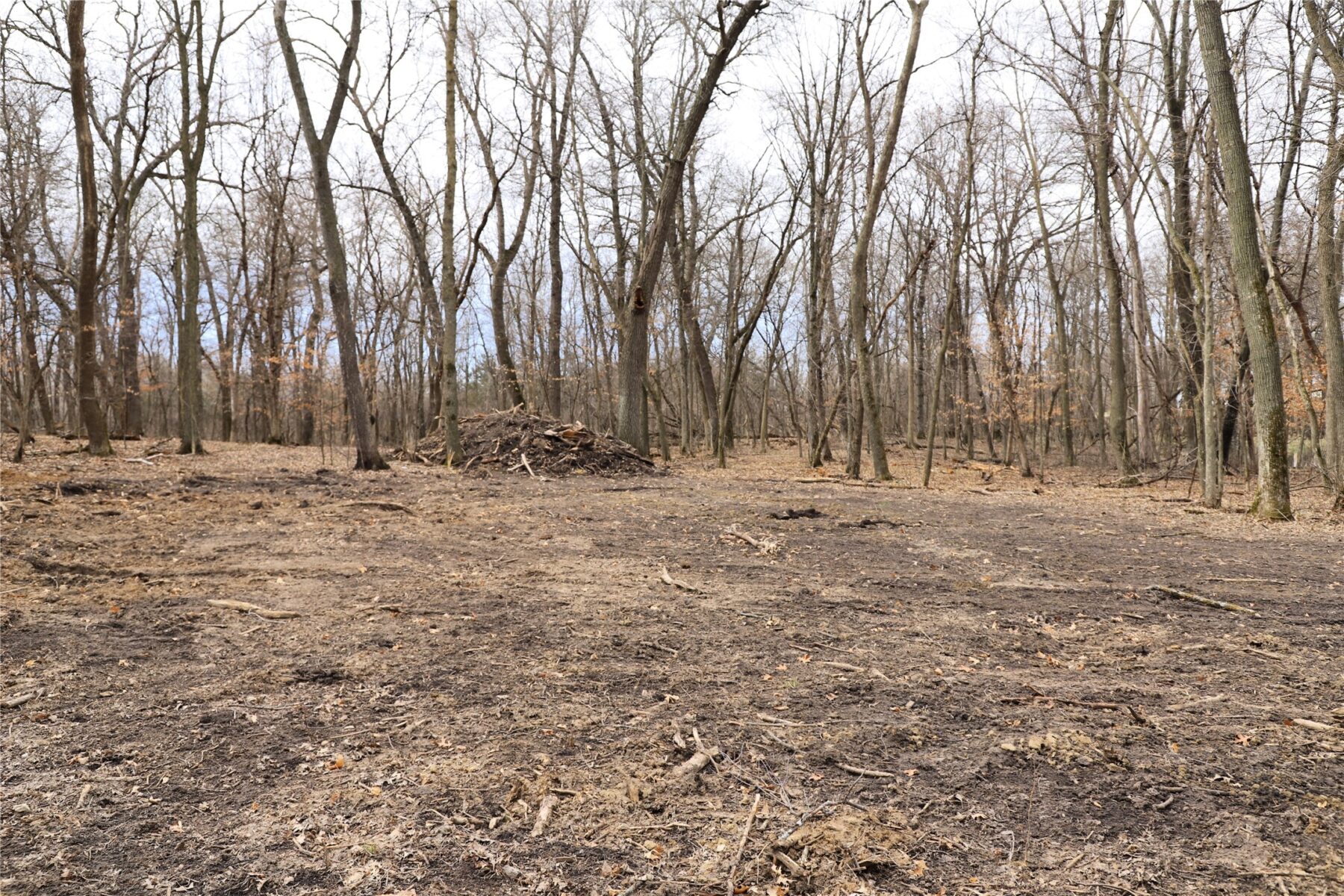 0000 Fourth Street E, Other, MN — photo 13