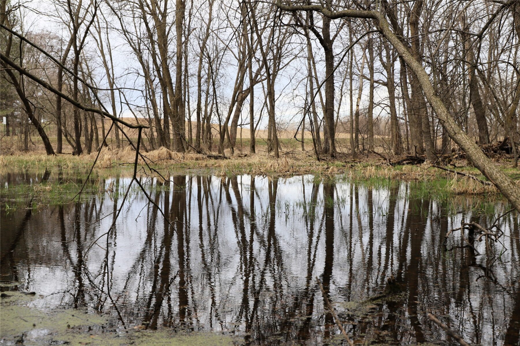 0000 Fourth Street E, Other, MN — photo 15