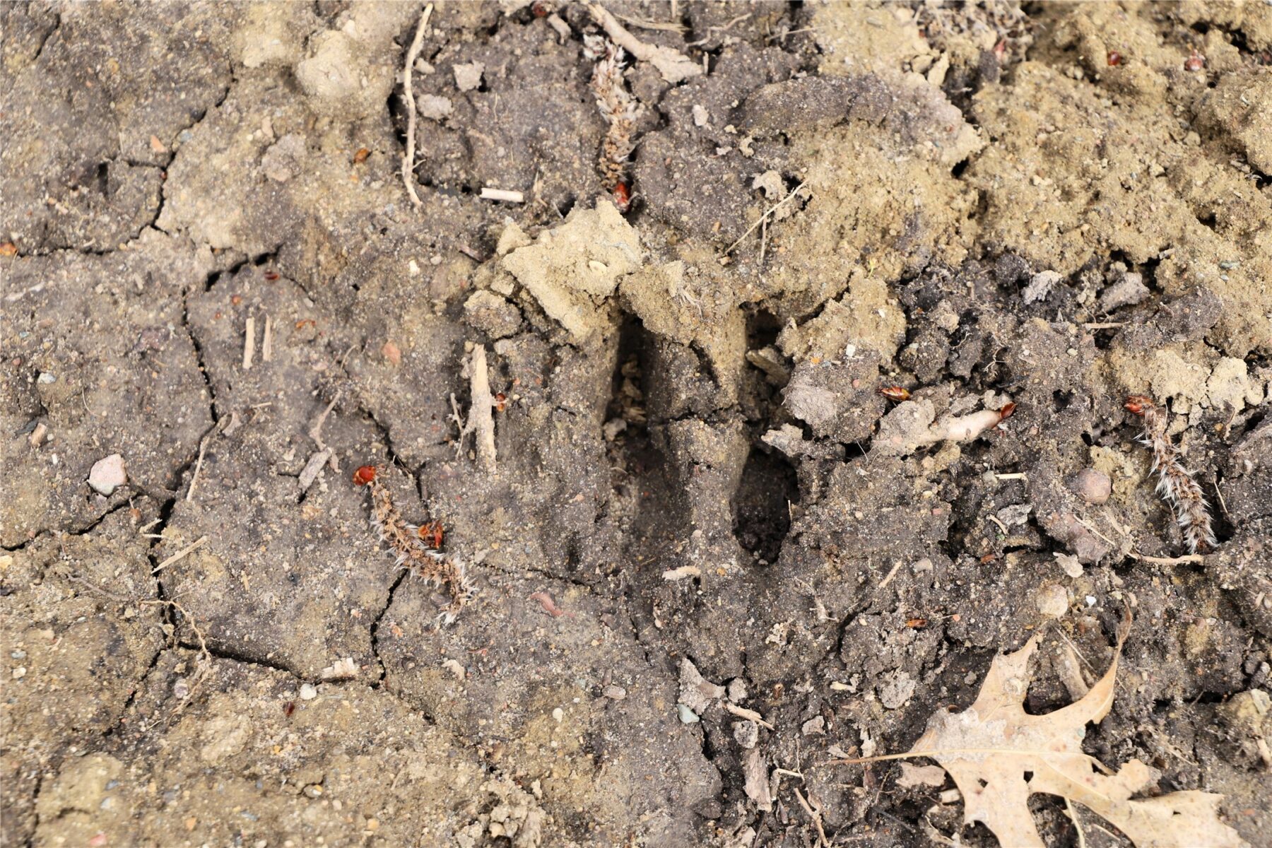 0000 Fourth Street E, Other, MN — photo 16