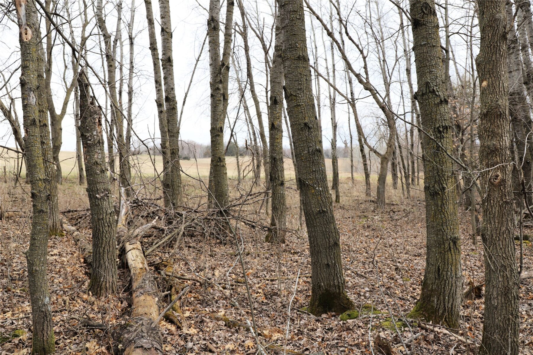 0000 Fourth Street E, Other, MN — photo 17