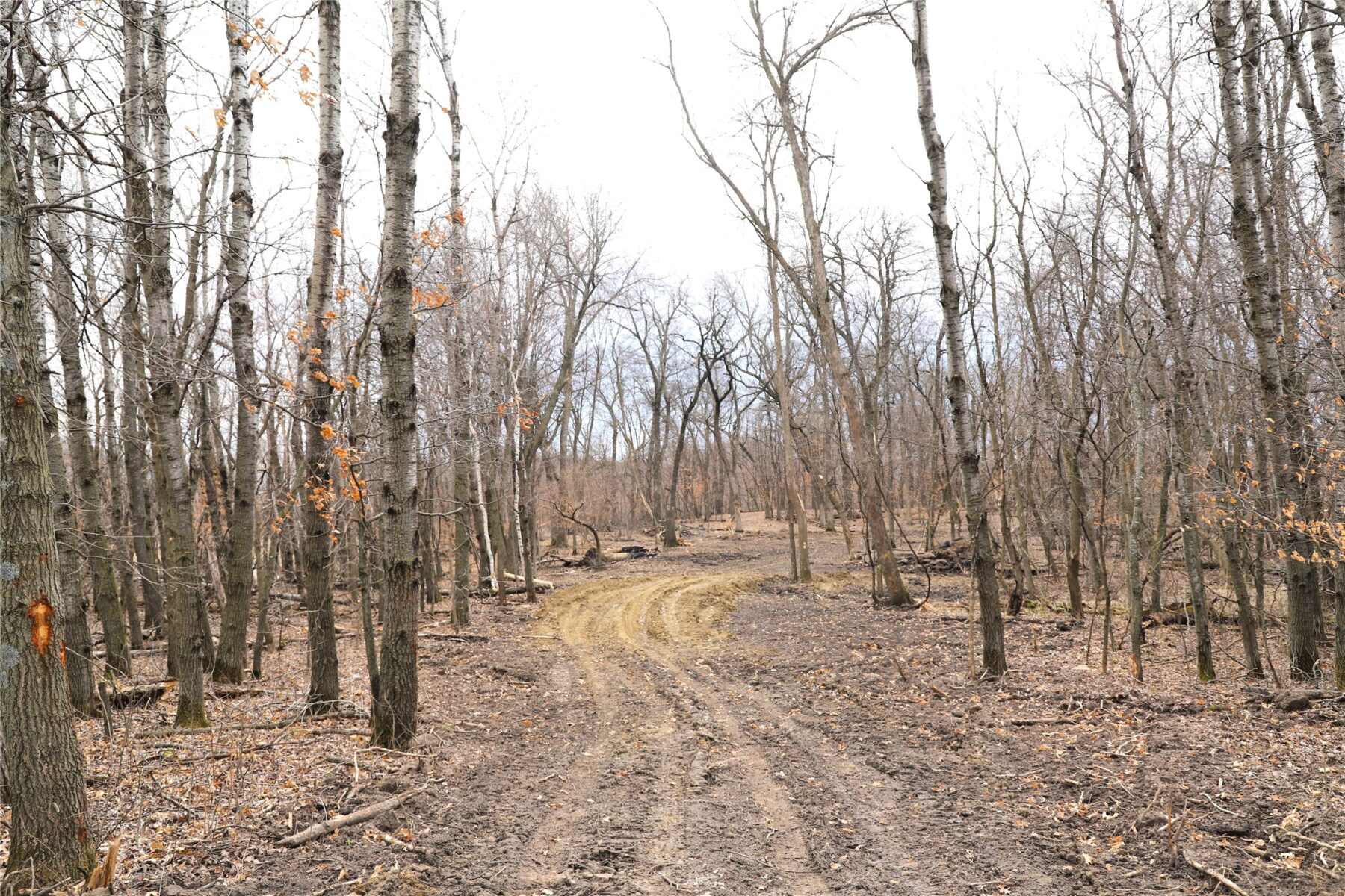 0000 Fourth Street E, Other, MN — photo 18