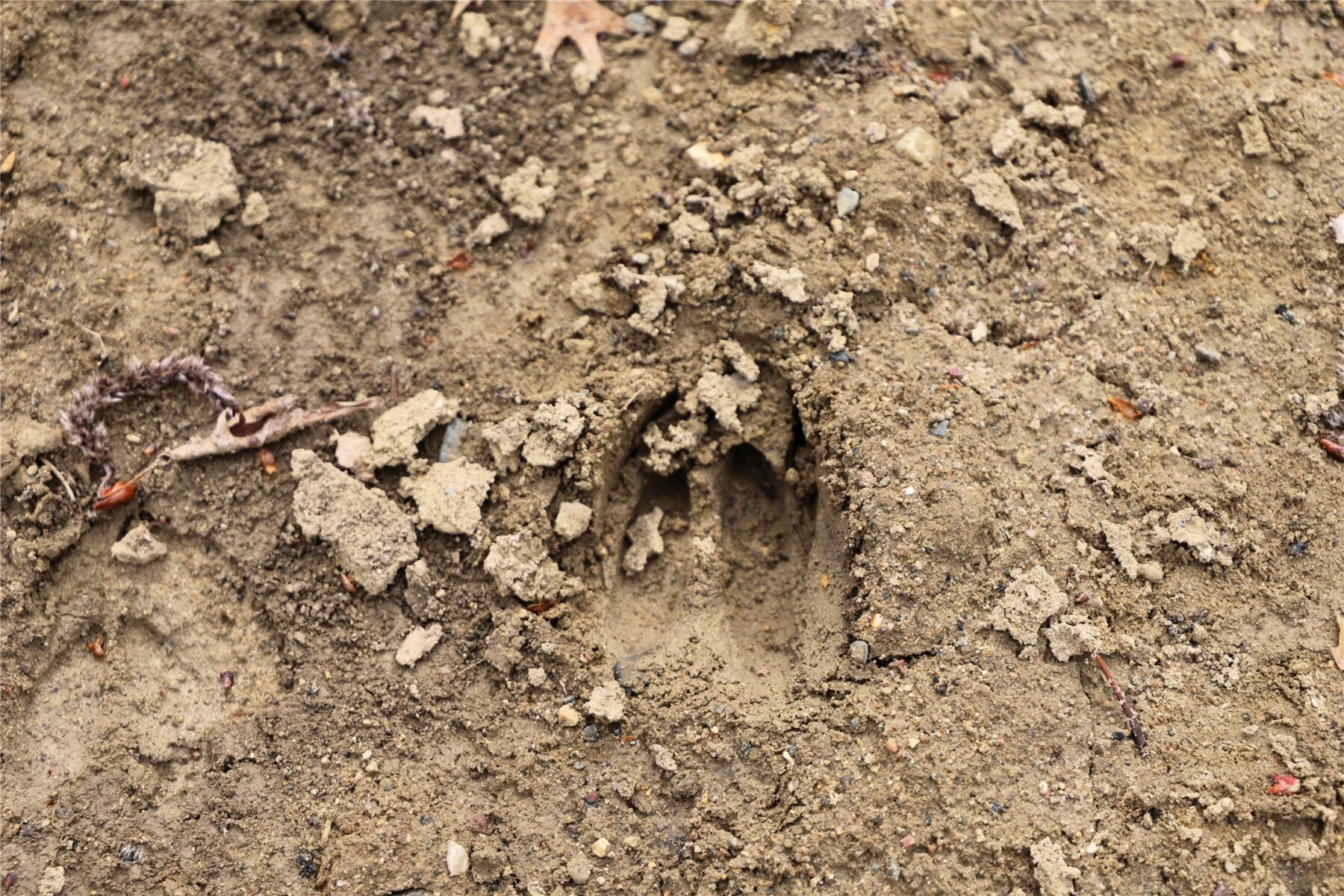 0000 Fourth Street E, Other, MN — photo 9