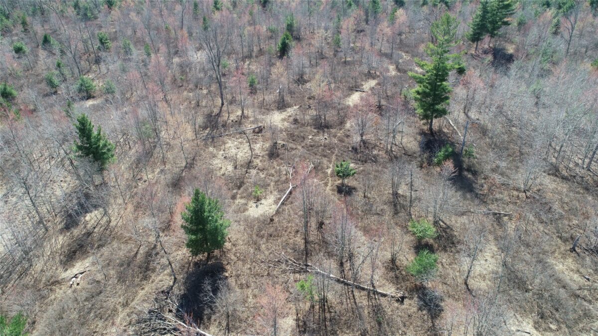 00000 Cty Rd F / Pete Nelson rd Grantsburg WI 54840 — photo 15