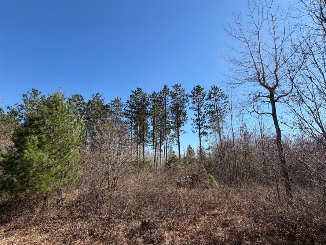 00000 Cty Rd F / Pete Nelson rd Grantsburg WI 54840 — photo 4