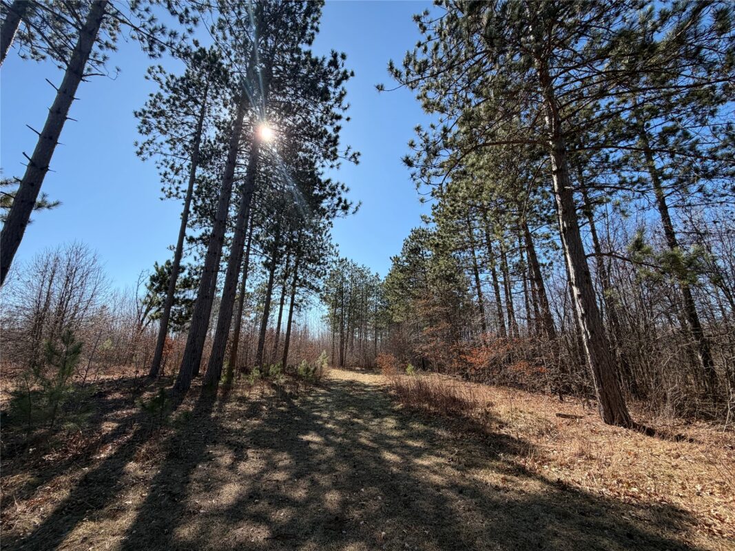 00000 Cty Rd F / Pete Nelson rd Grantsburg WI 54840 — photo 6