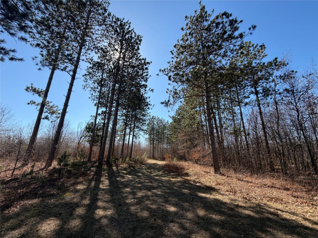 00000 Cty Rd F / Pete Nelson rd Grantsburg WI 54840 — photo 8