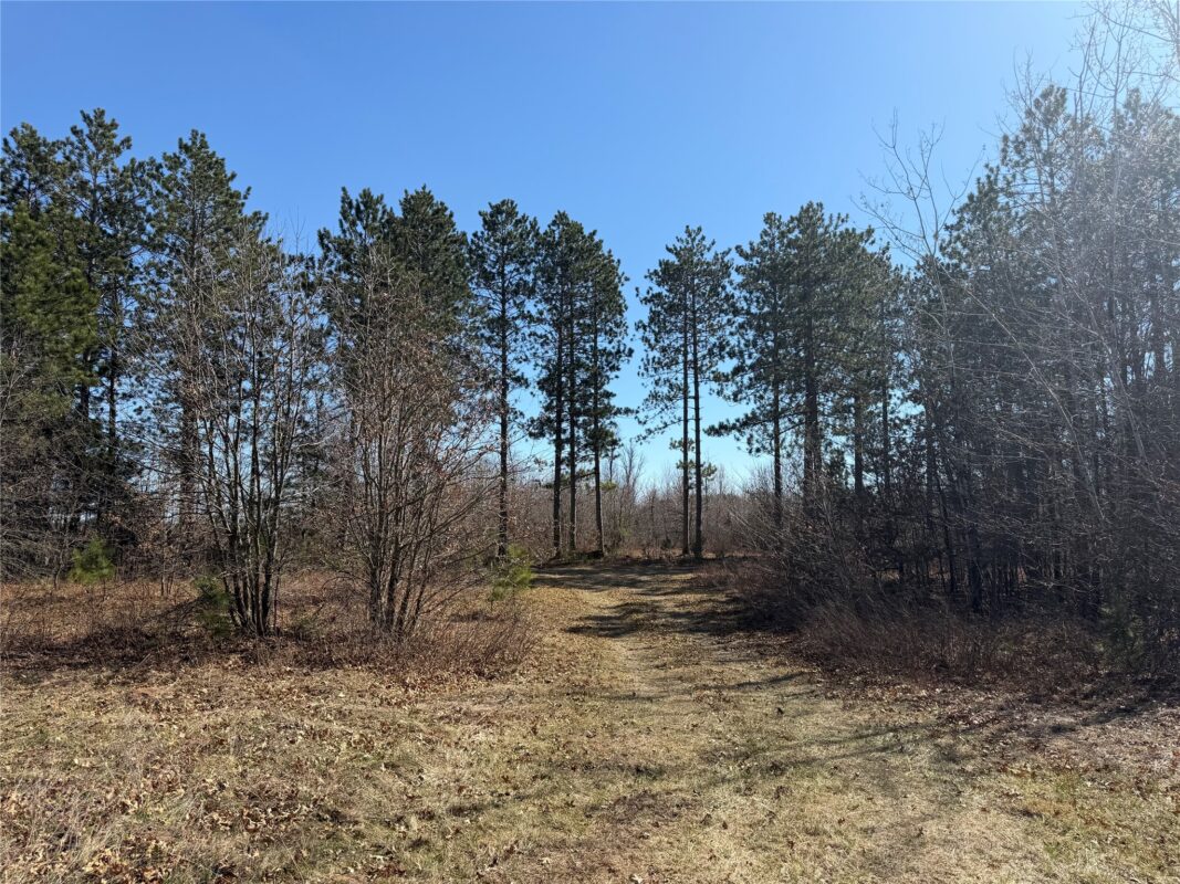 00000 Cty Rd F / Pete Nelson rd Grantsburg WI 54840 — photo 9