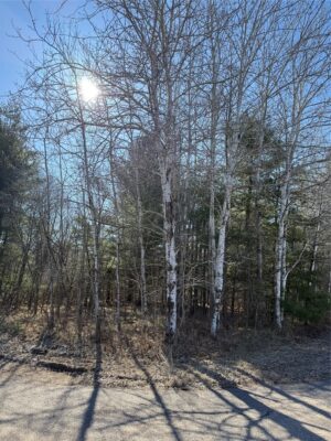 1.06 Acre on 297th Avenue Holcombe WI 54745 — photo 1