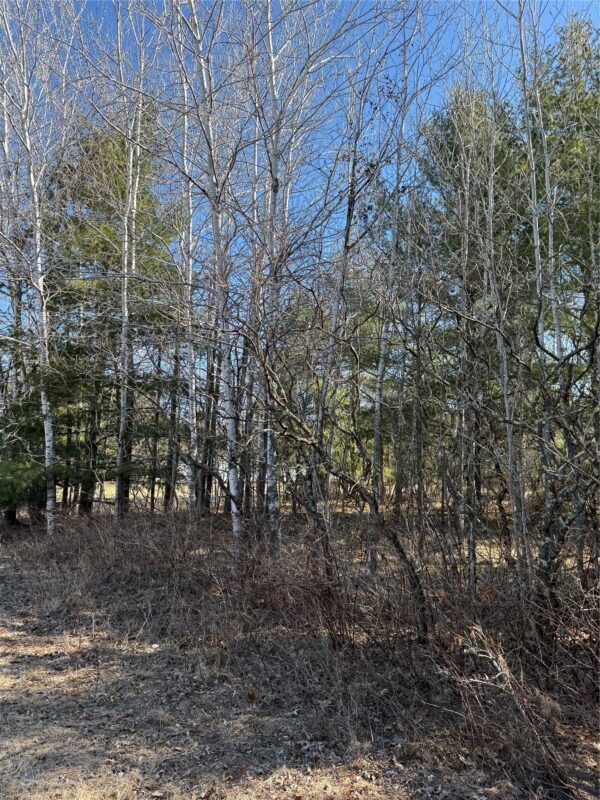 1.06 Acre on 297th Avenue Holcombe WI 54745 — photo 11