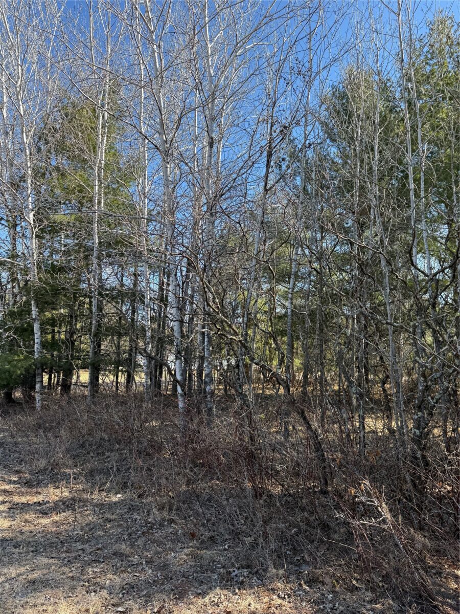 1.06 Acre on 297th Avenue Holcombe WI 54745 — photo 11
