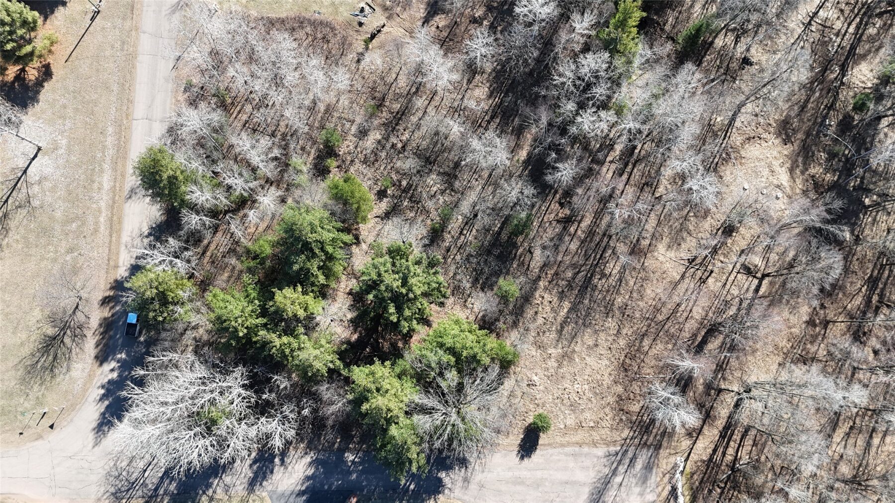 1.06 Acre on 297th Avenue Holcombe WI 54745 — photo 13