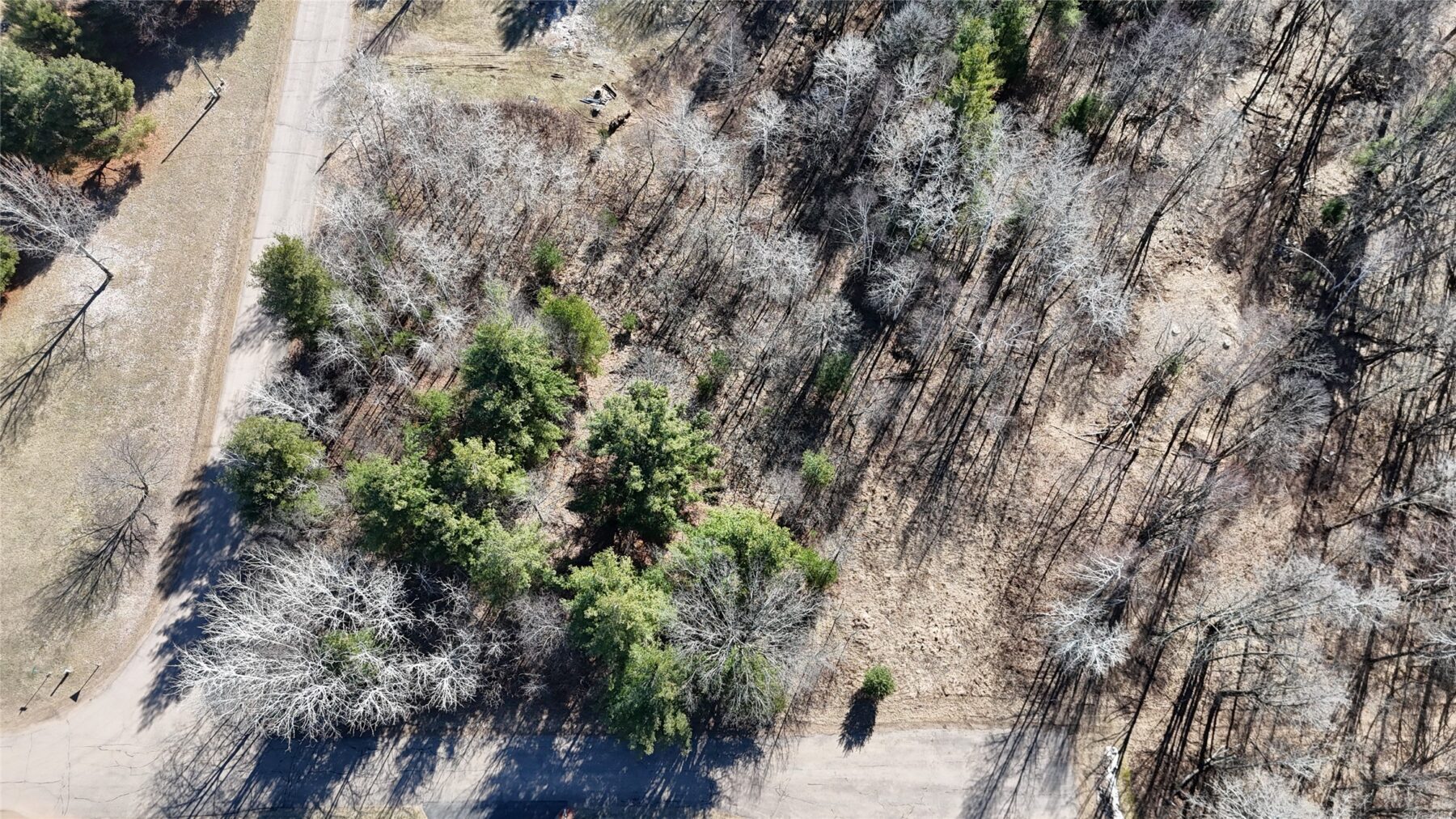 1.06 Acre on 297th Avenue Holcombe WI 54745 — photo 4