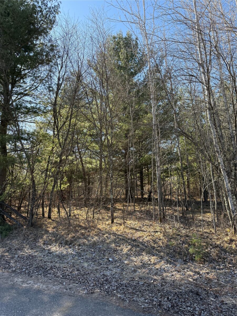 1.06 Acre on 297th Avenue Holcombe WI 54745 — photo 5