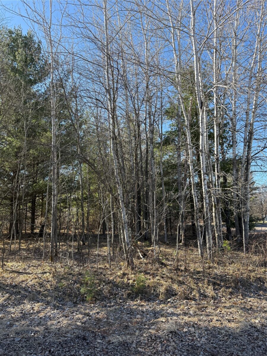 1.06 Acre on 297th Avenue Holcombe WI 54745 — photo 6
