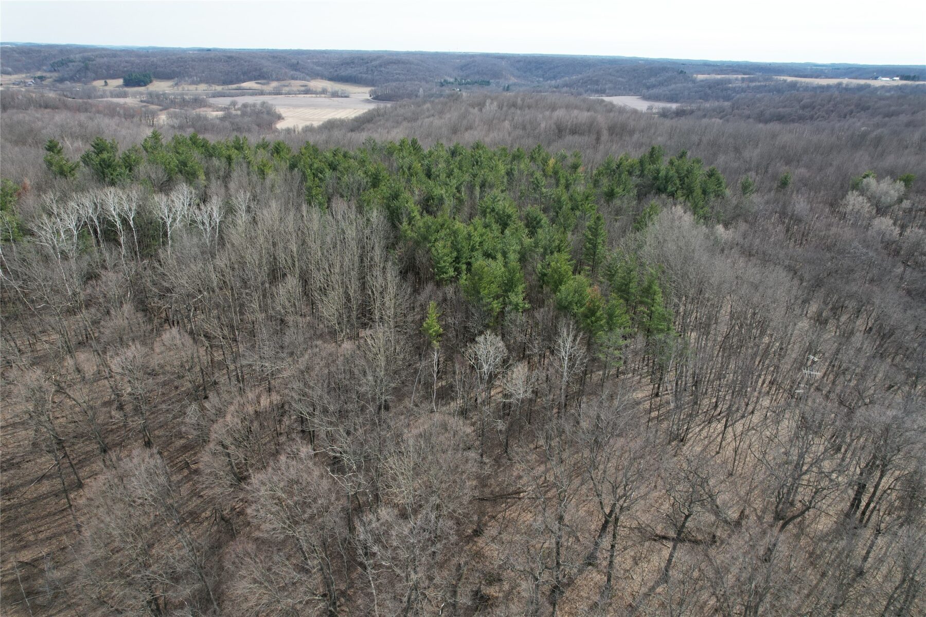 10 Ubel Drive Knapp WI 54749 — photo 10