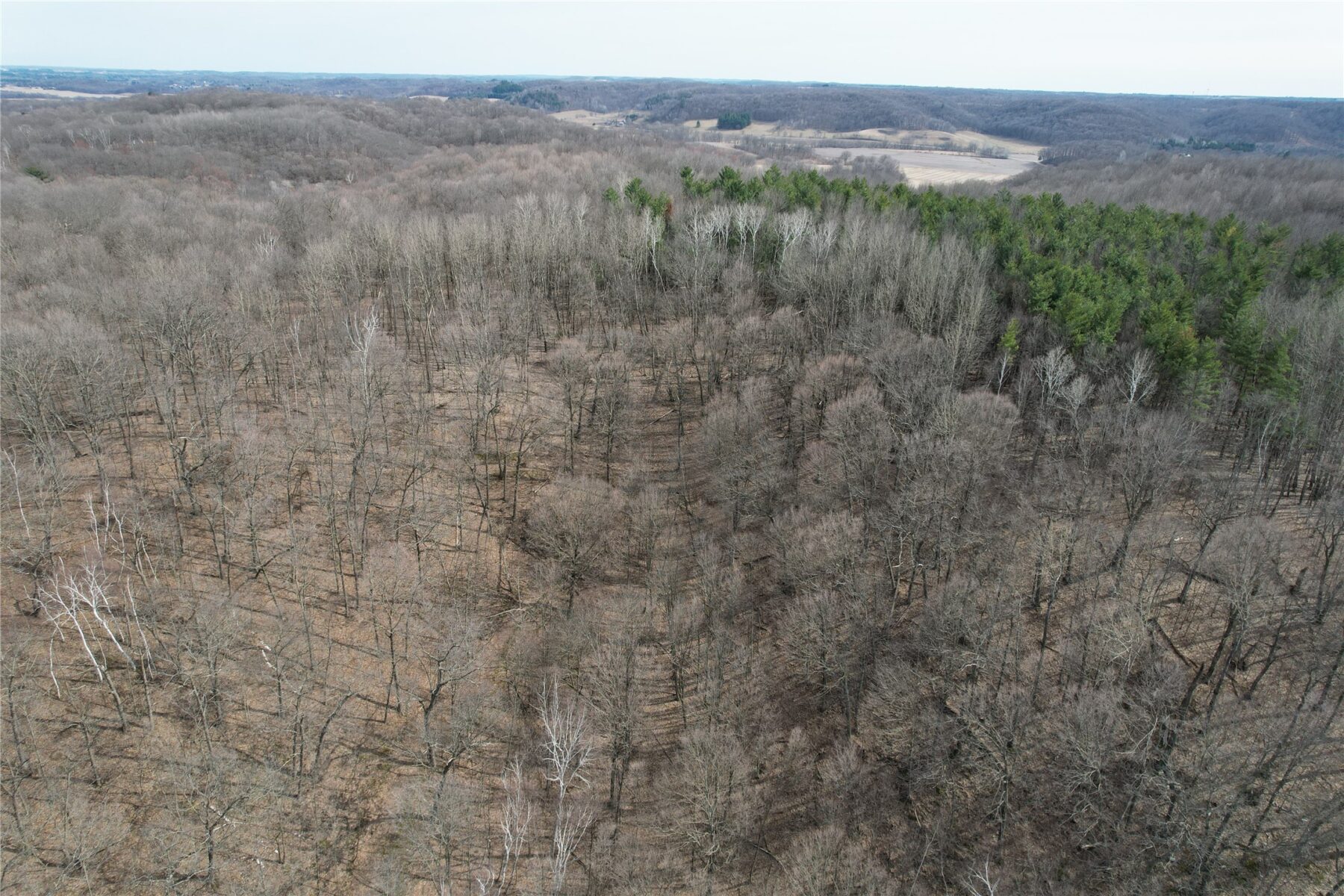 10 Ubel Drive Knapp WI 54749 — photo 11