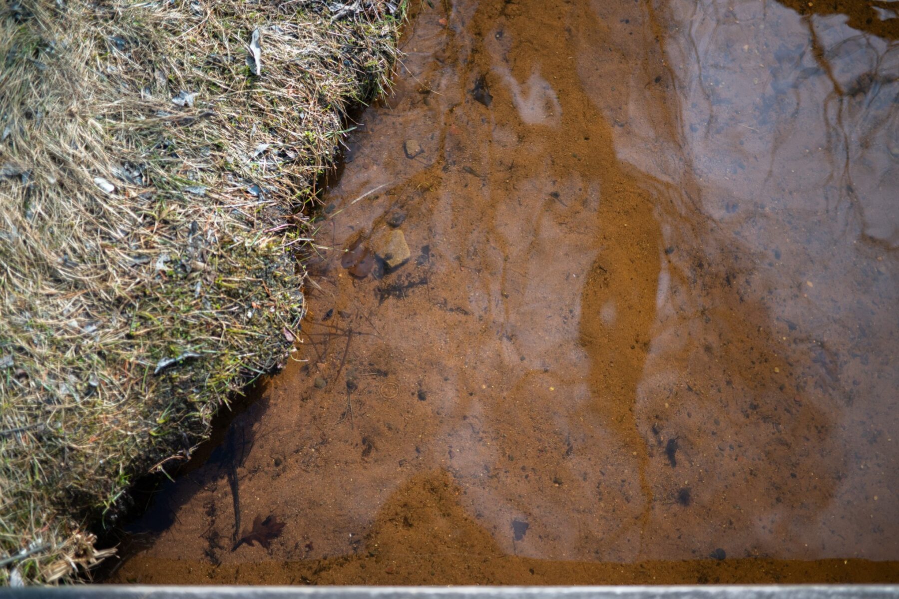 10335 Historyland Lane 6, Hayward, WI — photo 45