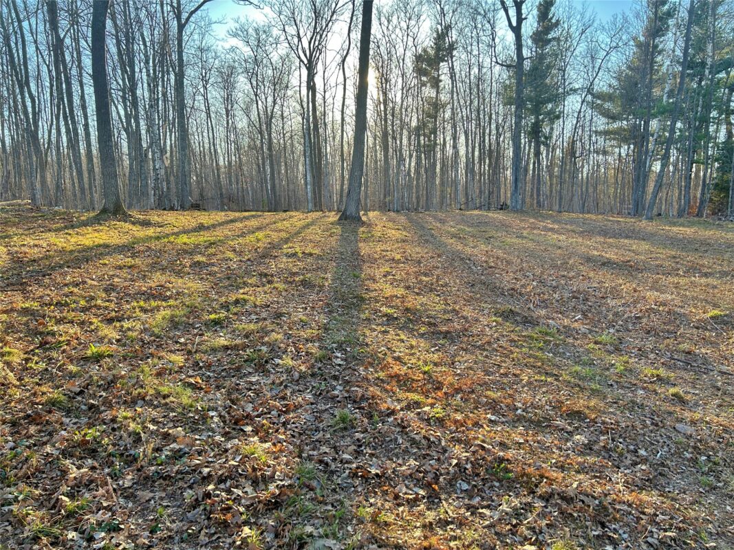 Land at 10358 White Bear Avenue, Hayward, WI 54843 — photo 2