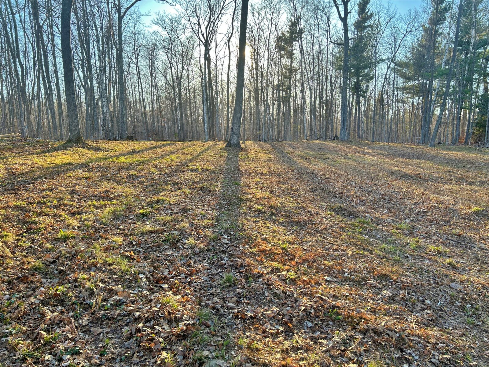 Land at 10358 White Bear Avenue, Hayward, WI 54843 — photo 2