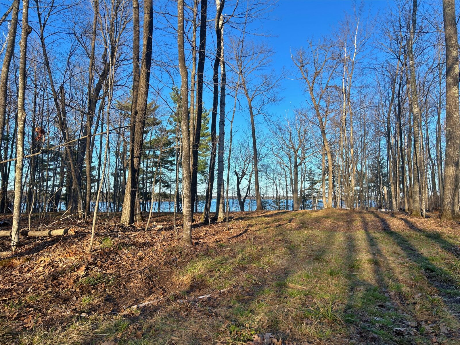 Land at 10358 White Bear Avenue, Hayward, WI 54843 — photo 11