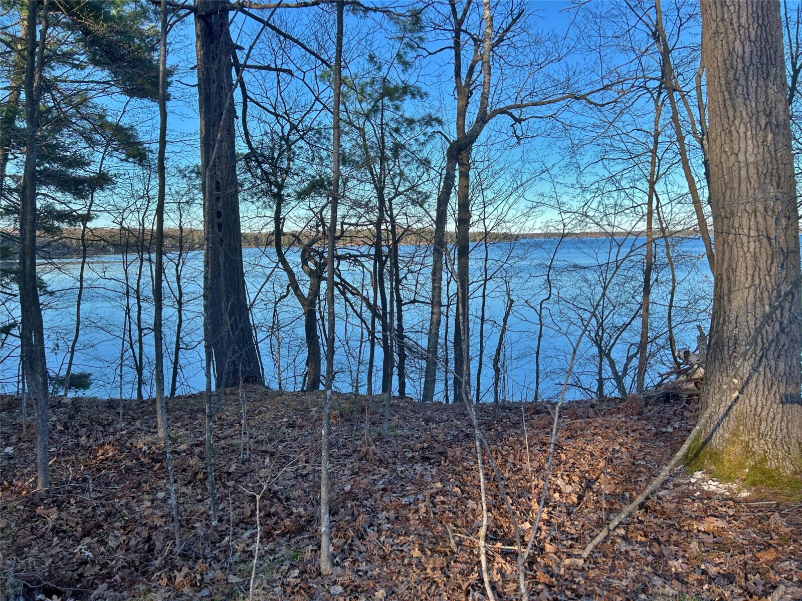 Land at 10358 White Bear Avenue, Hayward, WI 54843 — photo 12