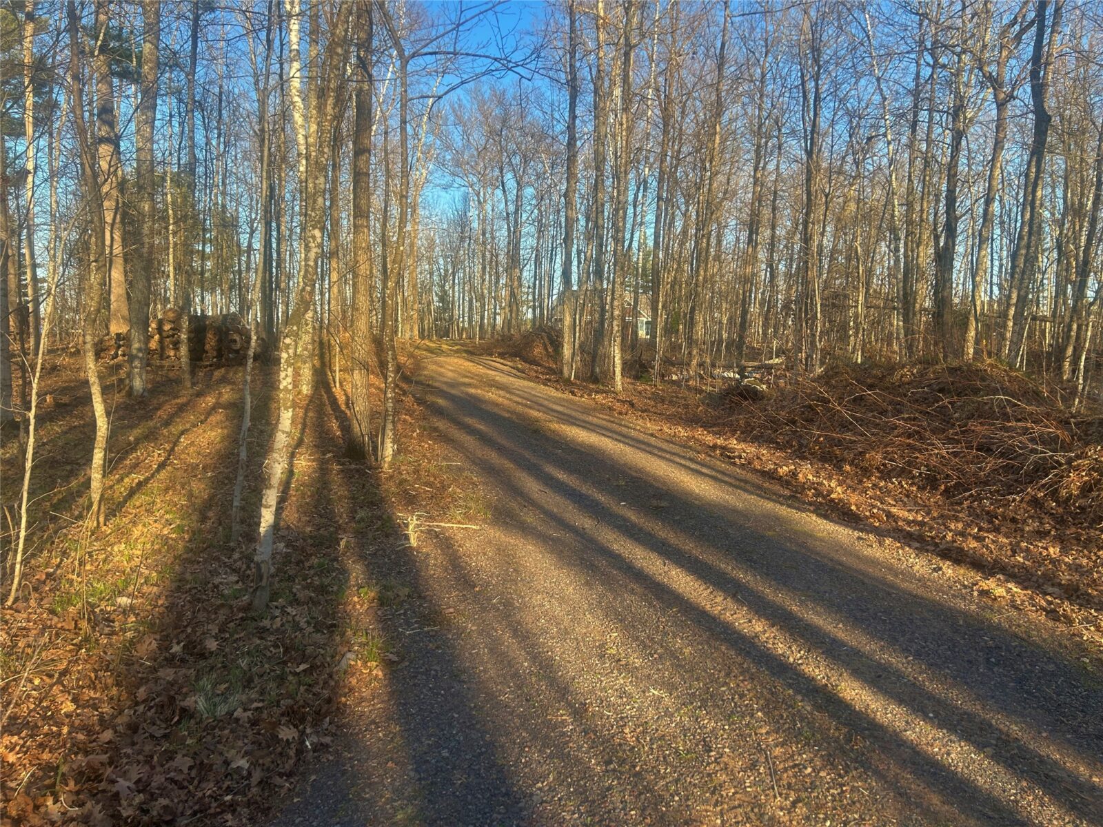 Land at 10358 White Bear Avenue, Hayward, WI 54843 — photo 13