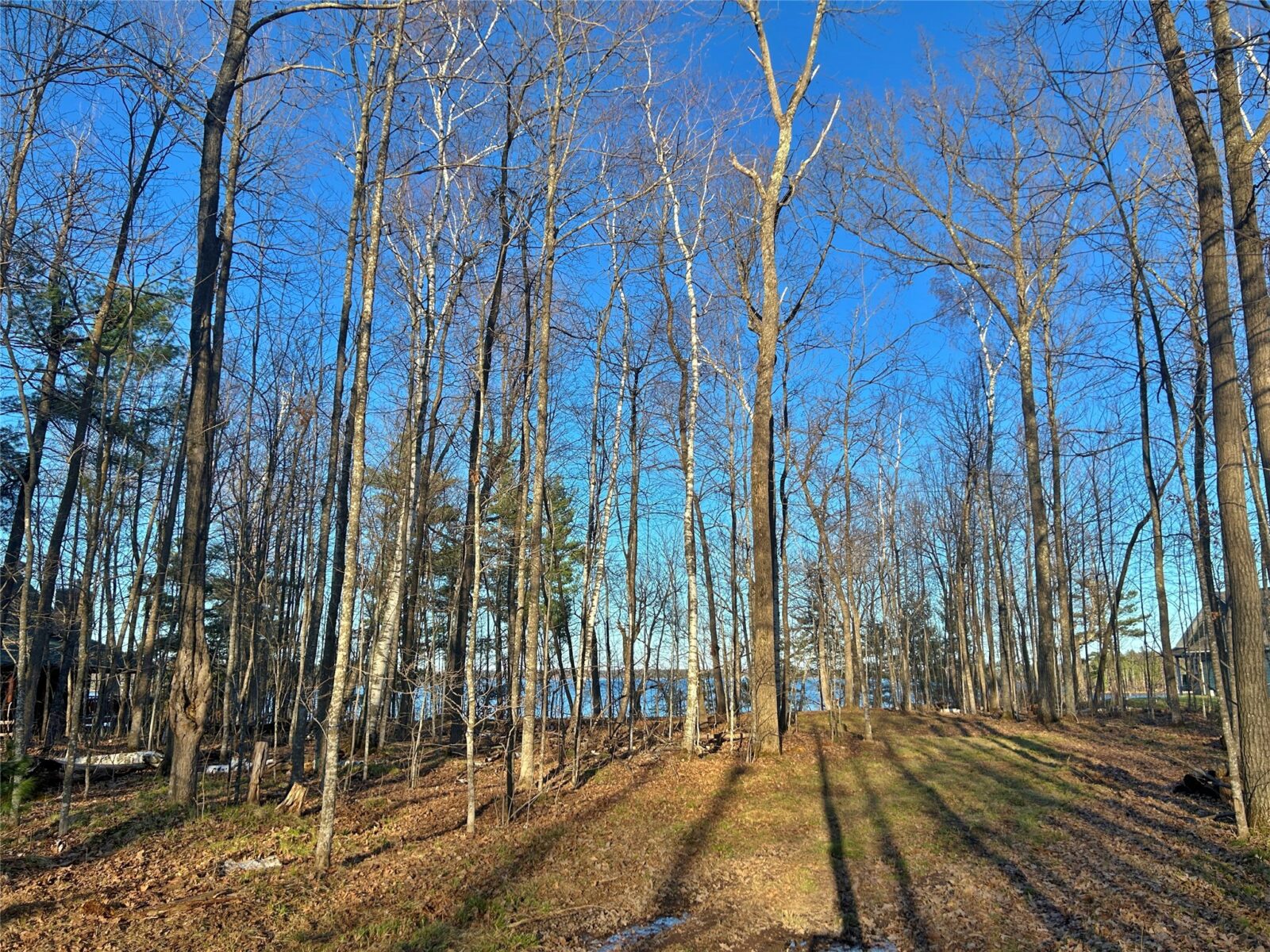 Land at 10358 White Bear Avenue, Hayward, WI 54843 — photo 14