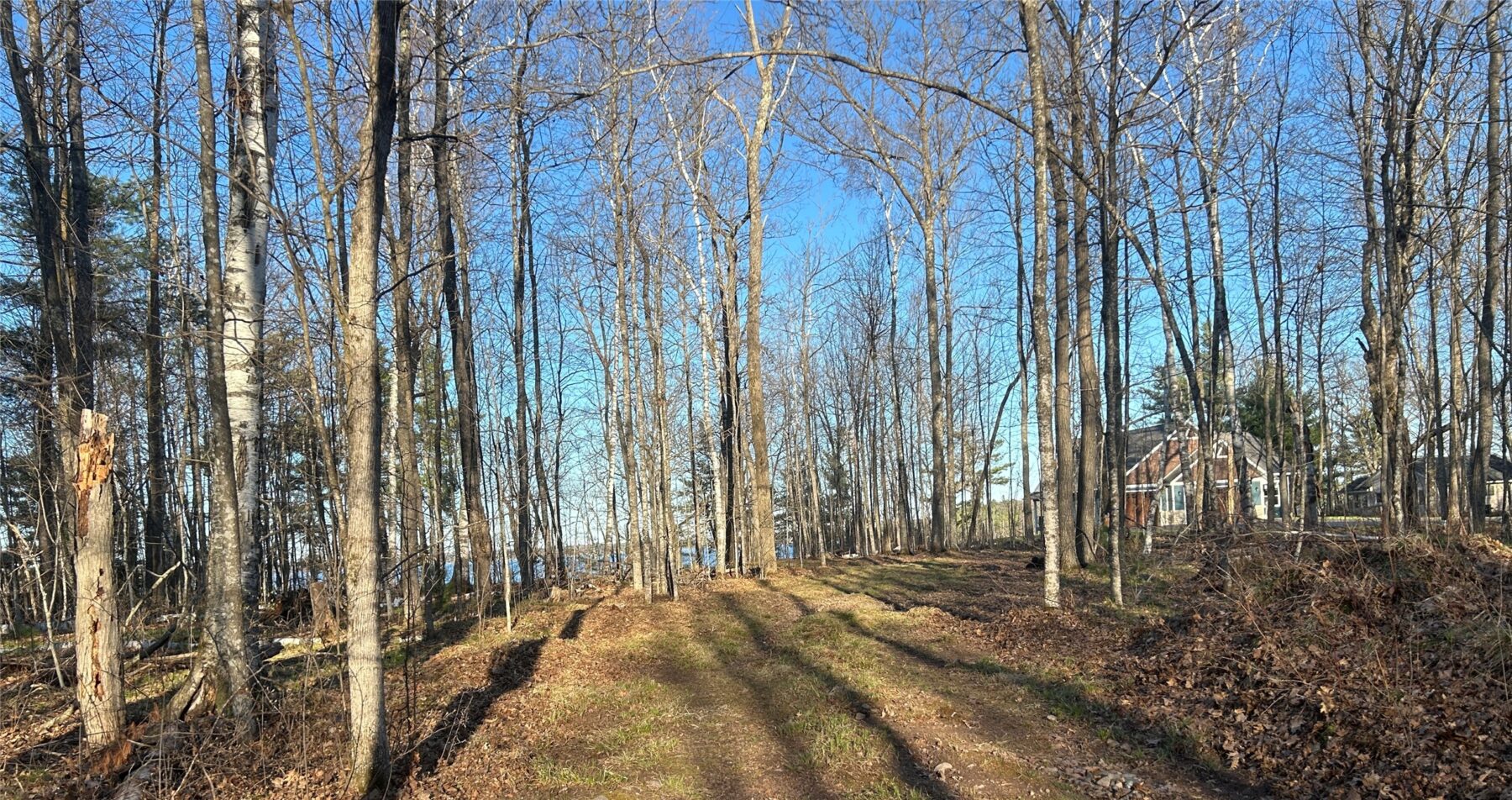 Land at 10358 White Bear Avenue, Hayward, WI 54843 — photo 15