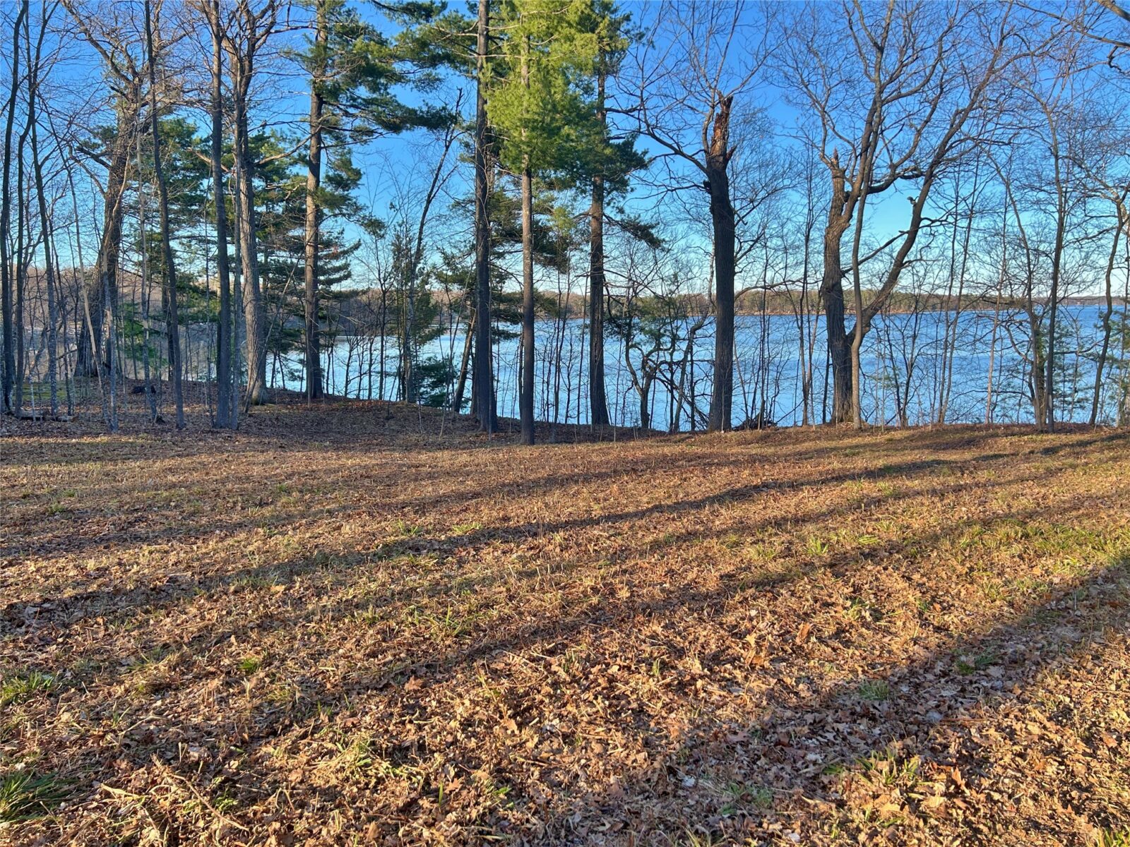 Land at 10358 White Bear Avenue, Hayward, WI 54843 — photo 4