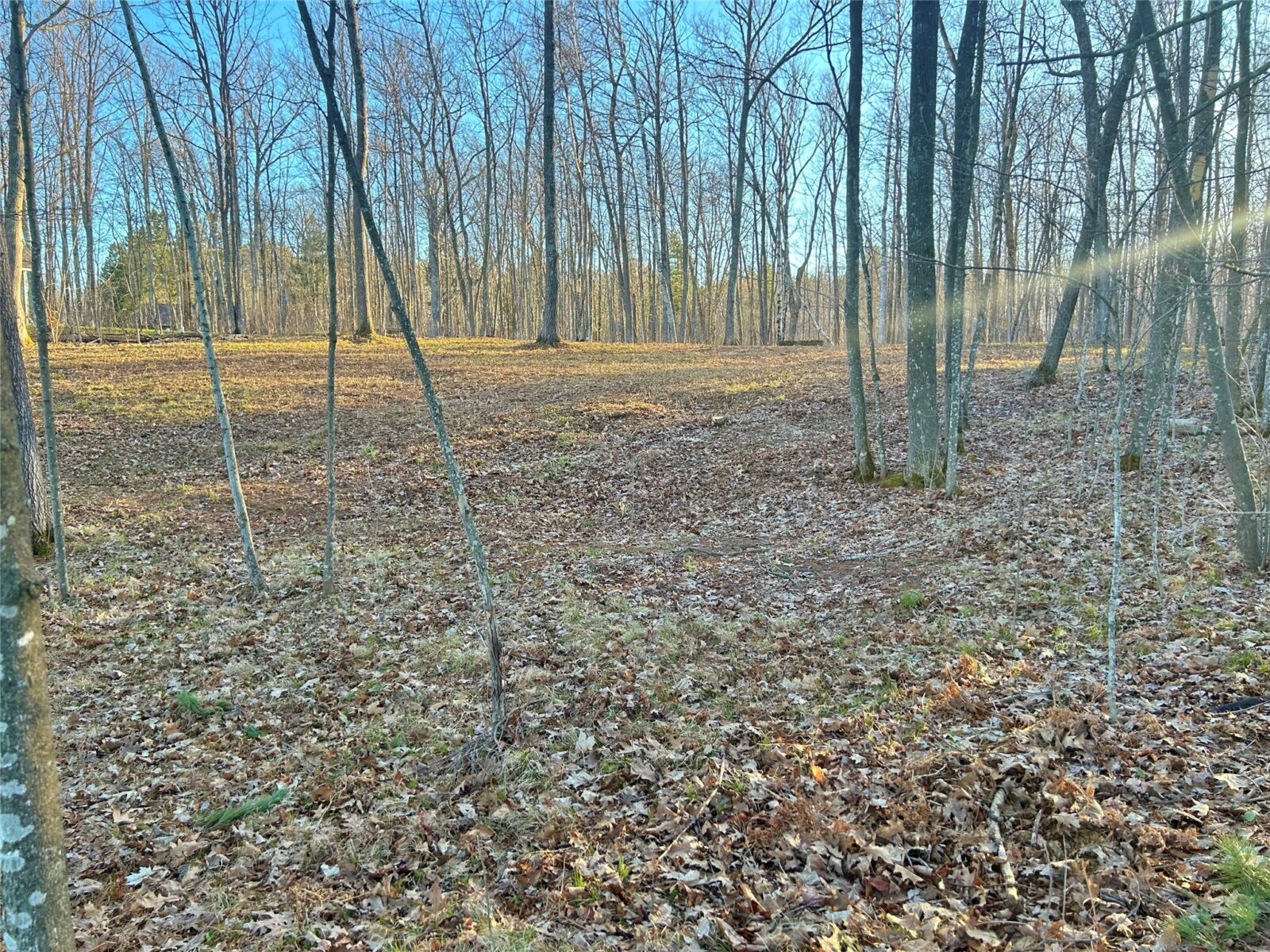 Land at 10358 White Bear Avenue, Hayward, WI 54843 — photo 7