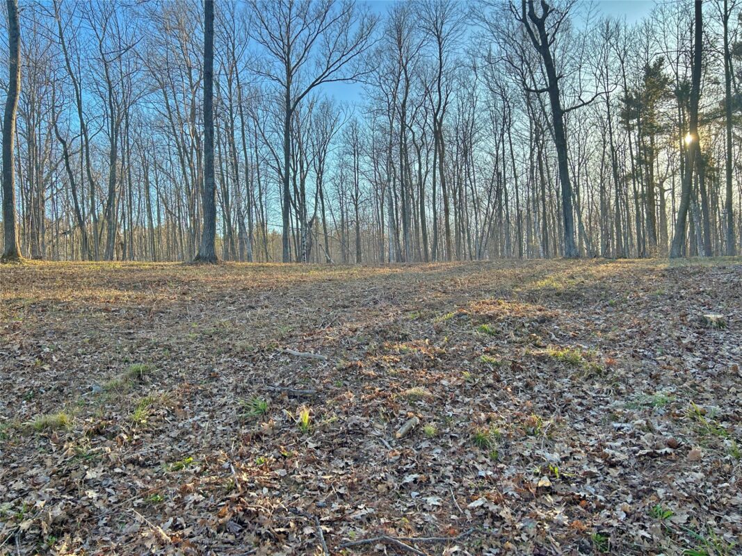 Land at 10358 White Bear Avenue, Hayward, WI 54843 — photo 8