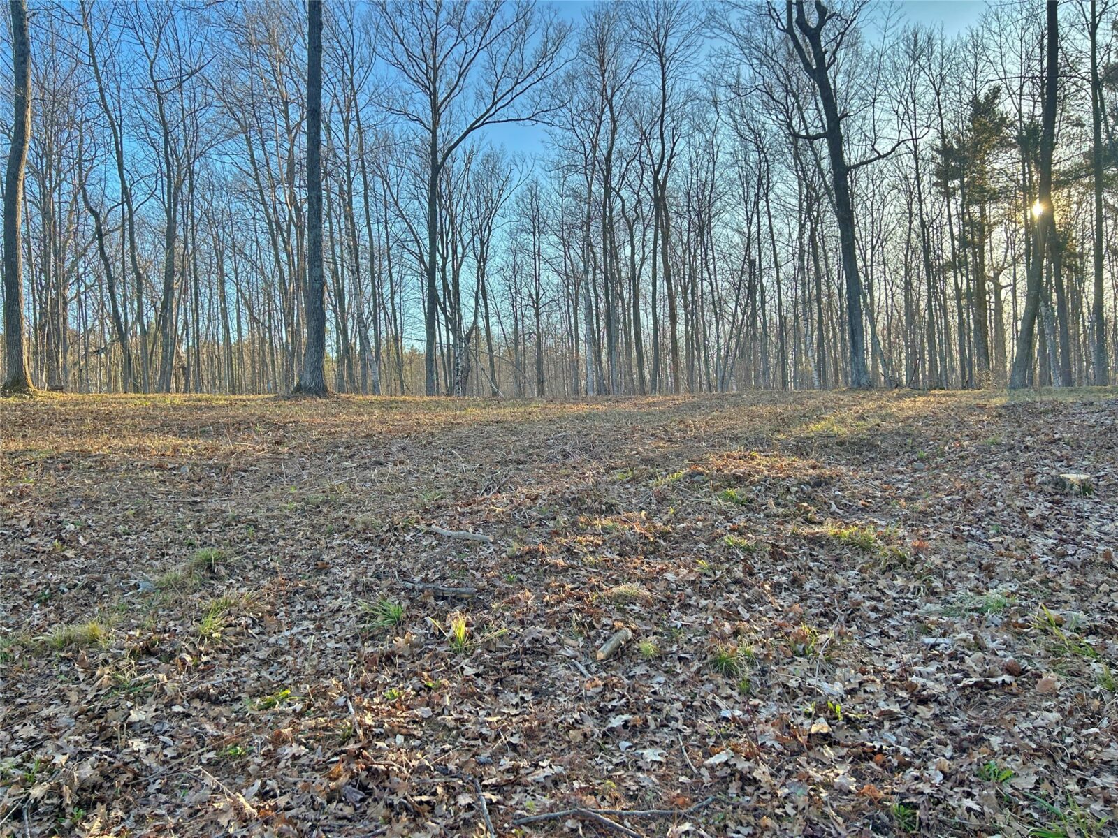 Land at 10358 White Bear Avenue, Hayward, WI 54843 — photo 8